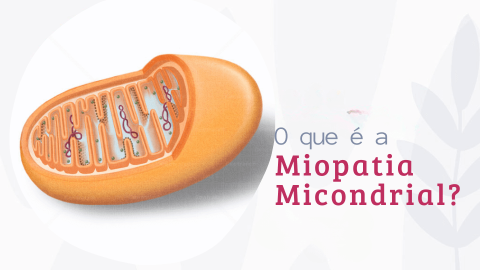 Miopatia Mitocondrial: O que é, Diagnóstico e Tratamento